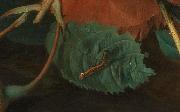 Jan van Huijsum Blumen und Fruchte France oil painting artist